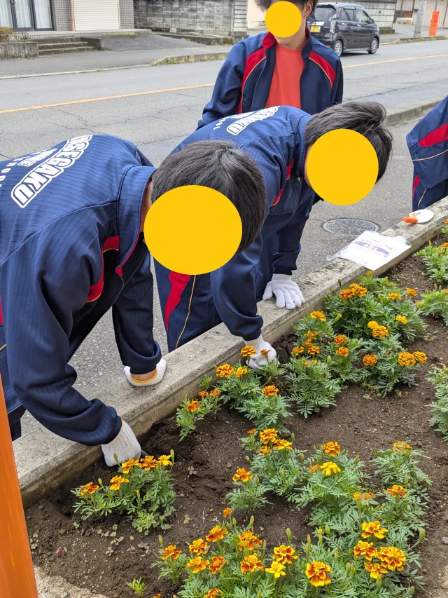 学びの冒険デー👩🏻‍🏫
１年次🌷フラワープロジェクト

先日、全学年５日・午前スタイルにて
学びの冒険デーを実施しました。

学年ごとに特別活動を行いました。
１年次は、キャンパス前の花壇を
彩る活動フラワープロジェクトです😊

💗ハート💗に植えられている所が
あるので、ぜひ探してみてください✨

引き続き、水やりなどのお世話を
ボランティア部を中心にしていきます！

＊＊＊
わせがくＰＵＲＥ高等学校 桐生キャンパス
⋆┈┈┈┈┈┈┈┈┈┈┈┈┈┈┈┈┈┈⋆
住所：群馬県桐生市稲荷町４－２０
ＪＲ桐生駅🚃徒歩５分
新入学・転入学・編入学
⋆┈┈┈┈┈┈┈┈┈┈┈┈┈┈┈┈┈┈⋆
🏫学校見学会🏫
５月３０日(土)１０：００～
６月２７日(土)１０：００〜
７月２５日(土)１０：００〜
⋆┈┈┈┈┈┈┈┈┈┈┈┈┈┈┈┈⋆
平日の個別相談も可能です！
お気軽にお問い合わせください。
⋆┈┈┈┈┈┈┈┈┈┈┈┈┈┈┈┈┈┈⋆
わせがくＰＵＲＥのHPまたはお電話にて
ご予約ください🌈
ご参加お待ちしております🦄

#わせがくＰＵＲＥ高等学校 #わせがくＰＵＲＥ高等学校桐生キャンパス #桐生市 #新入生 #編入学 #不登校支援